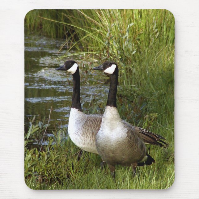 Mates for life mouse pad (Front)