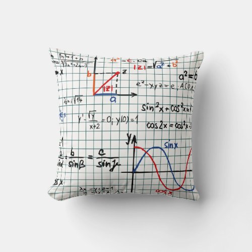 Math Formulas Numbers Throw Pillow