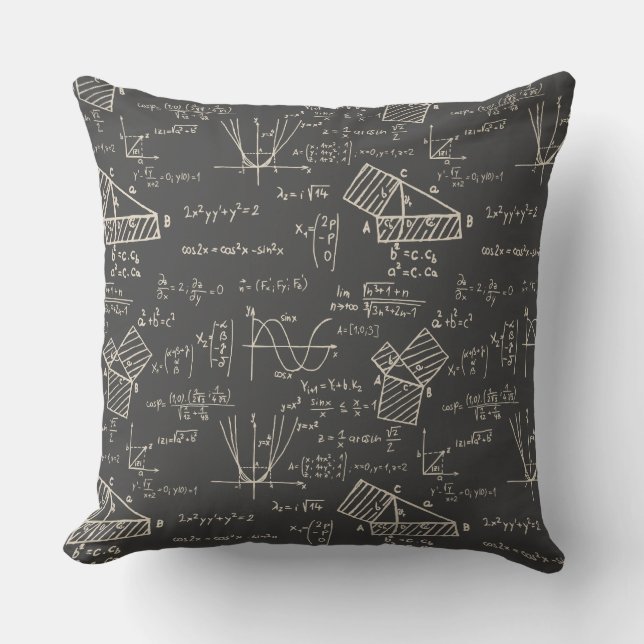 Math Physics Geometry Science Nerd Throw Pillow (Front)