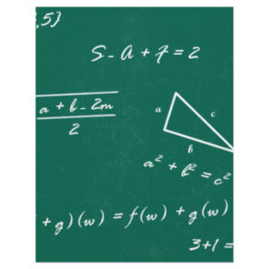 math teacher algebra geek