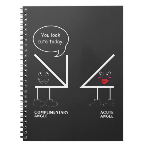 Math Teacher Gift Complimentary Acute angle school Notebook