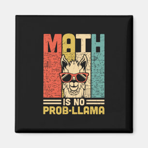 Math Teacher Math Is No Problem Magnet