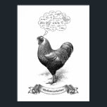 Mathemachicken Funny Math Chicken Pun Joke Poster<br><div class="desc">Are you a mathematician who likes farm animals, specifically chickens? So there's this chicken who can do math like an animal! Here's a vintage picture of her on this poster, and the mathematics and chicken scratchings of equations she's doing in her head are in the thought bubble on top. Below...</div>