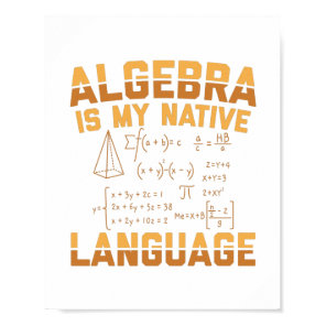 Mathematics Algebra | Mathematician Teacher Gifts Poster