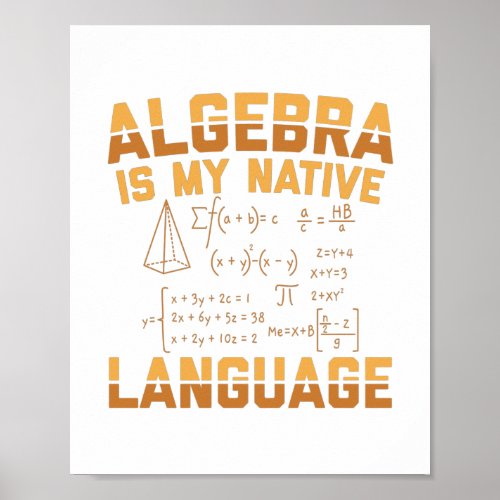 Mathematics Algebra  Mathematician Teacher Gifts Poster