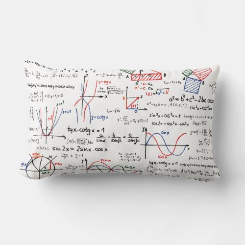 Mathematics Cheat Sheet Pillow