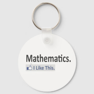 Mathematics...I Like This Keychain
