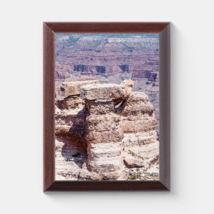 Mather Point Award Plaque