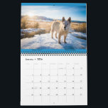 Matilda & Petunia Calendar 2026<br><div class="desc">Matilda's 2026 calendar,  with love and some of my favorite memories with her. 

Special joy from Petunia,  too. 

As always,  all proceeds benefits Austin Pets Alive!</div>