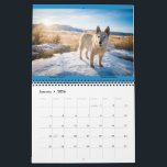 Matilda & Petunia Calendar 2026<br><div class="desc">Matilda's 2026 calendar,  with love and some of my favorite memories with her. 

Special joy from Petunia,  too. 

As always,  all proceeds benefits Austin Pets Alive!</div>