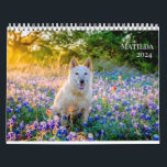 Matilda's 2024 Calendar<br><div class="desc">Matilda's 2024 calendar, with love and 14 of my favorite memories with her.
As always, all proceeds benefits Austin Pets Alive!</div>