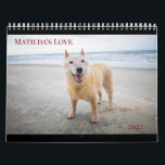 Matilda's Love 2022 Calendar<br><div class="desc">Matilda came to me as a puppy when she was 6-7 months old. I found her hiding under my house in rural Texas. She was extremely shy, and yet somehow, for some reason, already so attentive to me. We quickly became best friends. Over the past 17 years, she has lived...</div>