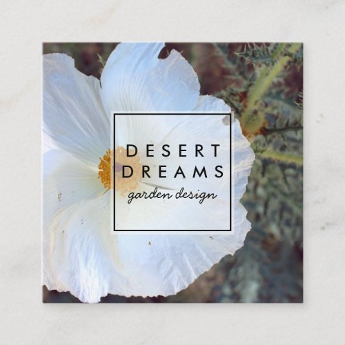 Matilija Poppy Desert Wildflower Photo Travel Square Business Card