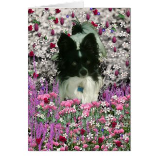Matisse in Flowers - White & Black Papillon Dog Cards