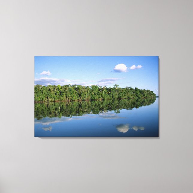 Mato Grosso State, Amazon, Brazil. Forested Canvas Print (Front)