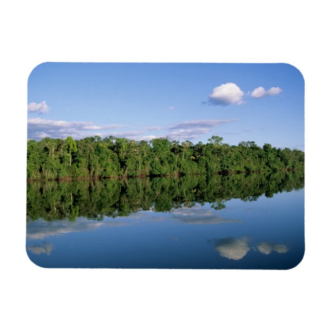 Mato Grosso State, Amazon, Brazil. Forested Magnet (Horizontal)