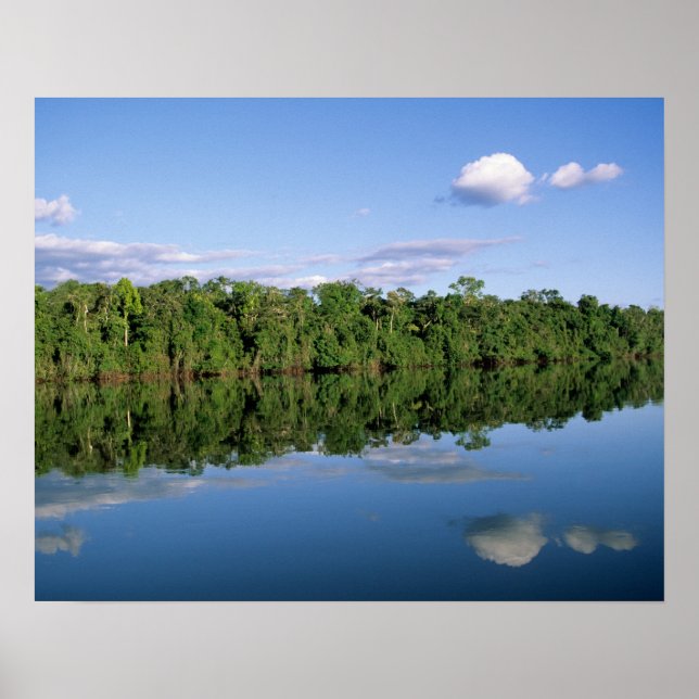 Mato Grosso State, Amazon, Brazil. Forested Poster (Front)