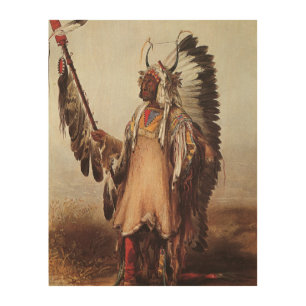 Mato-Tope, A Mandan Chief Portrait by Karl Bodmer Wood Wall Art