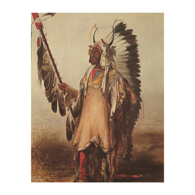 Mato-Tope, A Mandan Chief Portrait by Karl Bodmer Wood Wall Art (Front)
