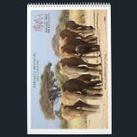 Matriarchs Calendar 2015<br><div class="desc">This year we decided to focus on our famous Amboseli matriarchs. We have documented their lives for the last 43 years and know these families better then any human on earth! Support their protection by purchasing this Calendar for 2015.</div>