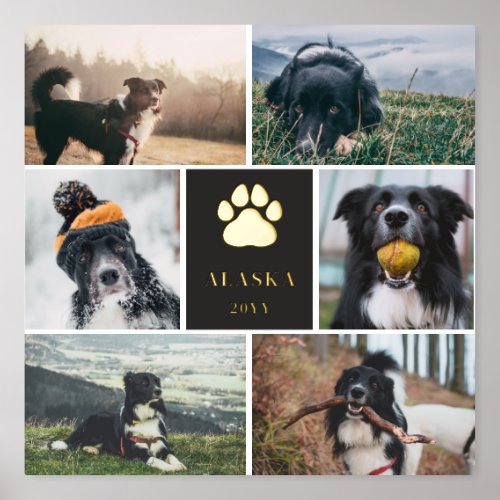 Matte Black Golden Paw Print 6 Photo Collage Dog