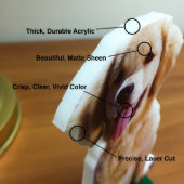 Matte Finish 4x6 Create Your Own Photo Cutout (Top)