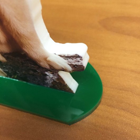 Matte Finish 4x6 Create Your Own Photo Cutout (Front Right)