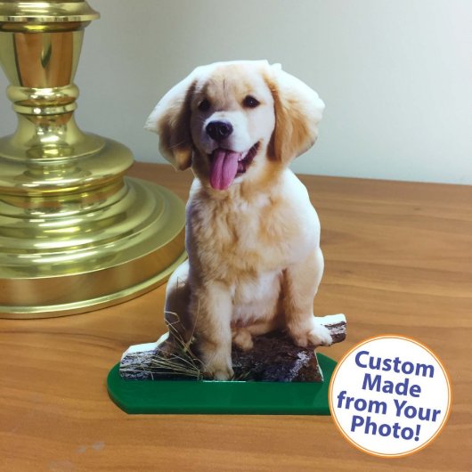 Matte Finish 4x6 Create Your Own Photo Cutout (Front)