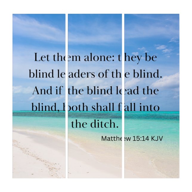 Matthew 15:14 Bible Verse KJV Pic Wall Art (Front)