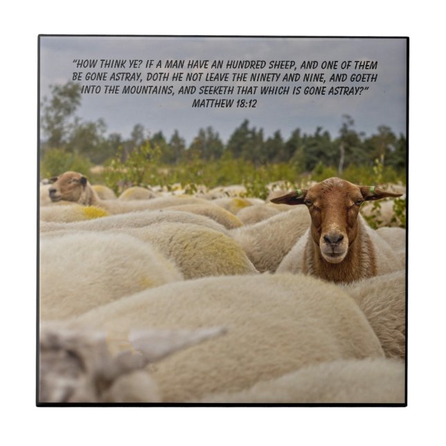 Matthew 18:12    ceramic tile (Front)