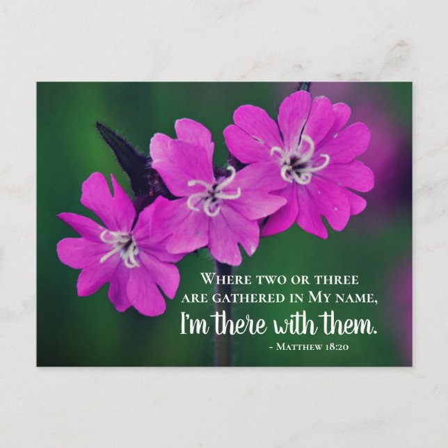 Matthew 18:20 Two or Three Gather in My Name Postcard (Front)