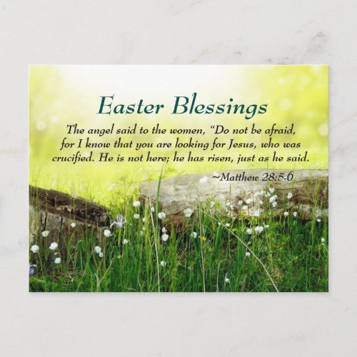 Matthew 285_6 He is not here He has Risen Easter Holiday Postcard