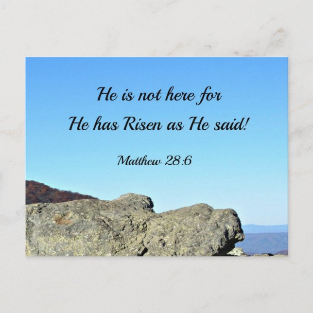 Matthew 28:6 He is not here, for He has risen Postcard (Front)