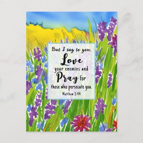 Matthew 544 I say to you Love your enemies Bible Postcard