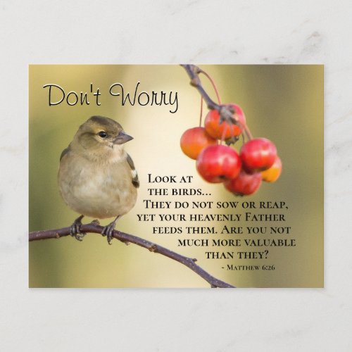 Matthew 626 Bible Verse Dont Worry Postcard
