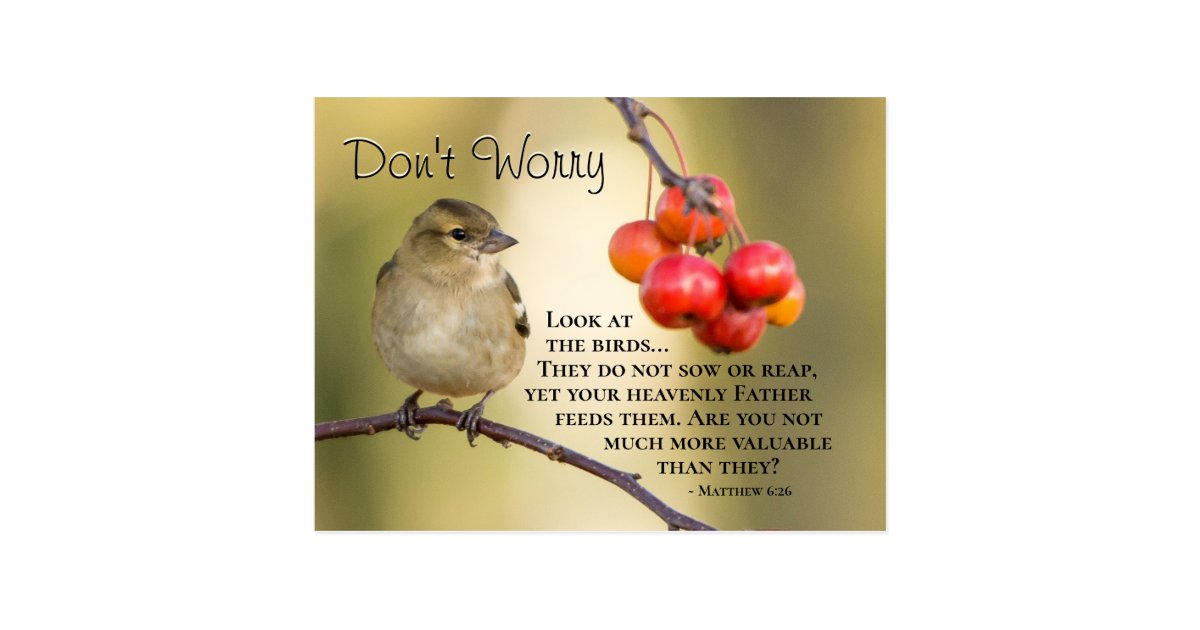 Matthew 6:26 Bible Verse, Don't Worry Postcard | Zazzle.com