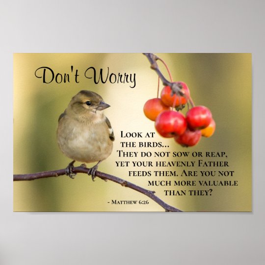 Matthew 6:26 Bible Verse, Don't Worry Poster | Zazzle.com