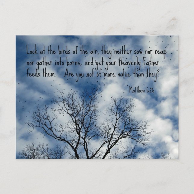 Matthew 6:26 Look at the birds of the air... Postcard (Front)
