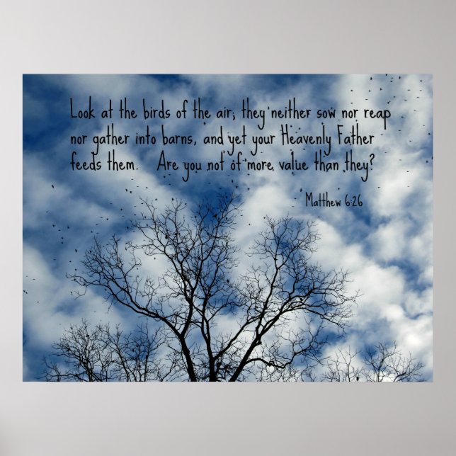 Matthew 6:26 Look at the birds of the air... Poster (Front)