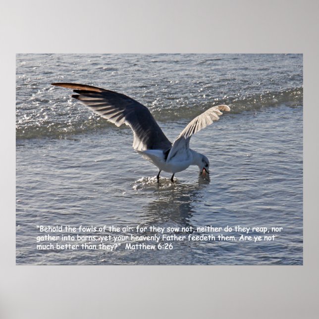 Matthew 6:26 Scripture Poster (Front)