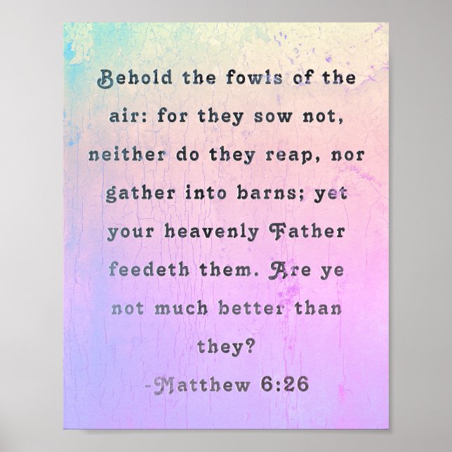 Matthew 6:26 Scripture Poster (Front)