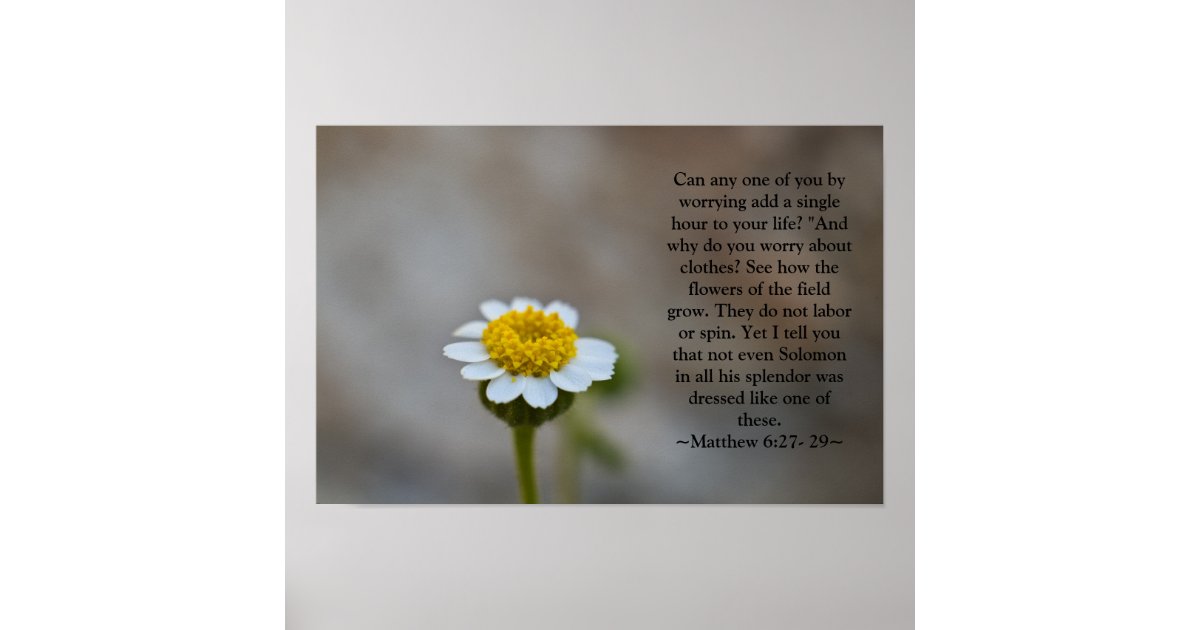 Matthew 6:27- 29 Poster | Zazzle