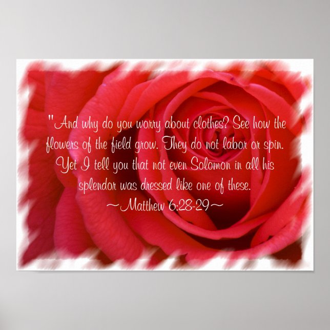 Matthew 6:28-29 Poster 2 (Front)