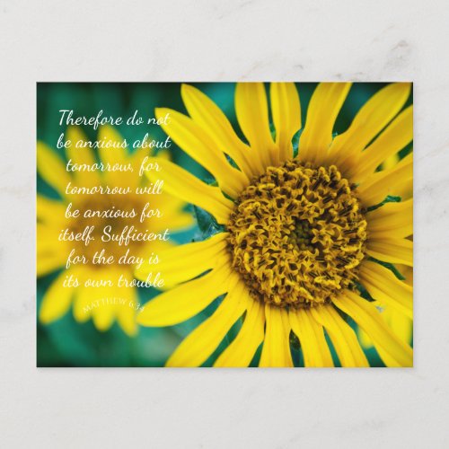 Matthew 634 Yellow Flowers Postcard