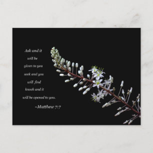 Matthew 7:7 white floral postcard