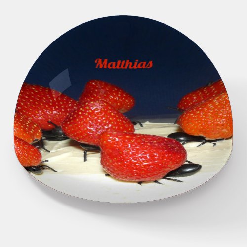 MATTHIAS  ANT ATTACK Strawberry Cake  UNUSUAL Paperweight