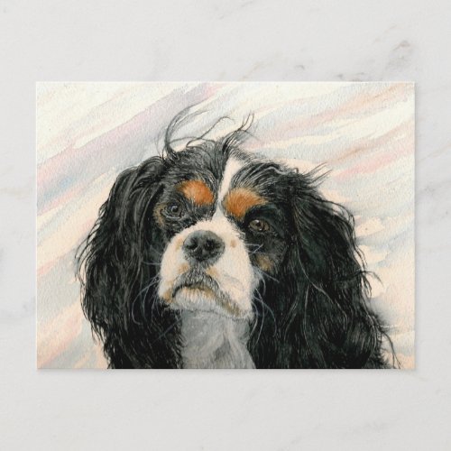 Mattie the King Charles Cavalier Spaniel Postcard