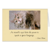 Mattie's Eyes (Front Horizontal)