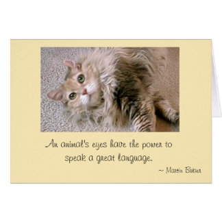 Mattie's Eyes Cards