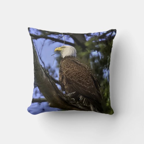 Mature Bald Eagle 2 Pics Throw Pillow
